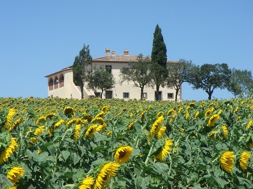 immagine annuncio 3 di 8