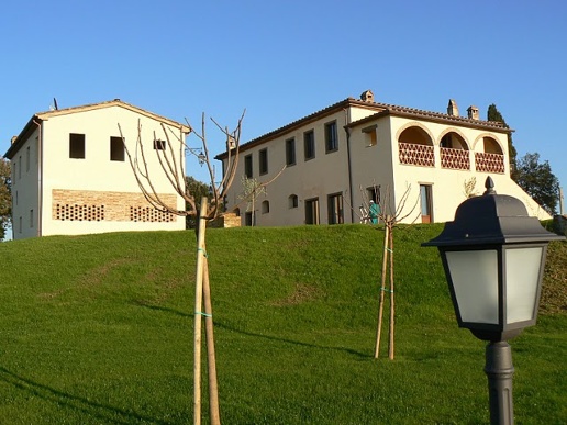 immagine annuncio 4 di 8