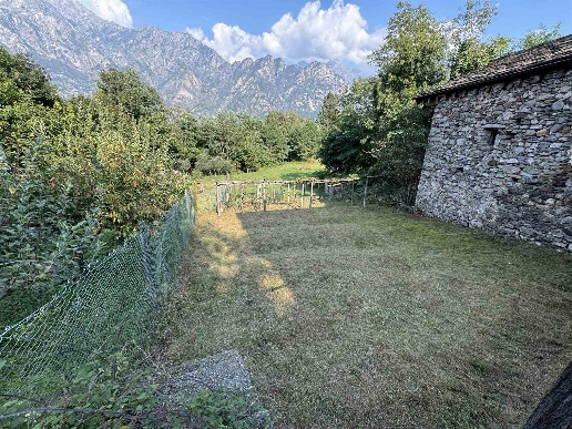 immagine annuncio 10 di 12