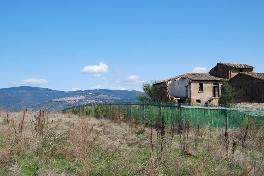 immagine annuncio 4 di 6