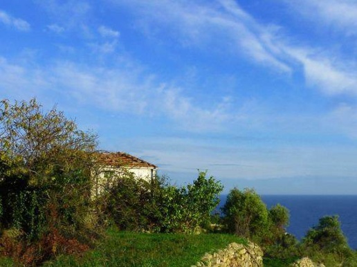 immagine annuncio 3 di 14