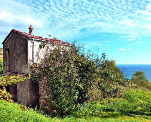 immagine annuncio 6 di 14