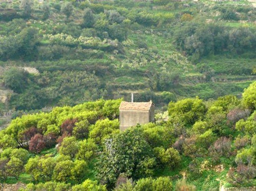 immagine annuncio 11 di 14