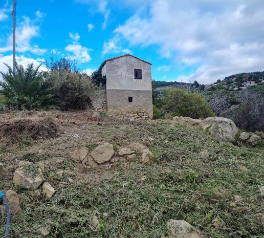 immagine annuncio 12 di 14