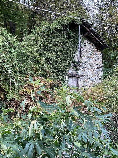 immagine annuncio 1 di 9
