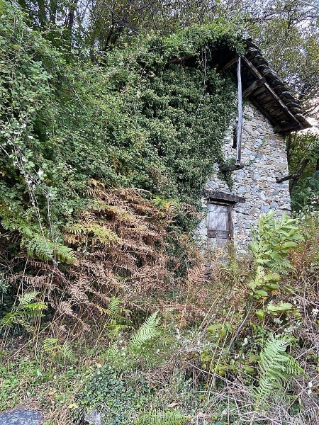 immagine annuncio 3 di 9
