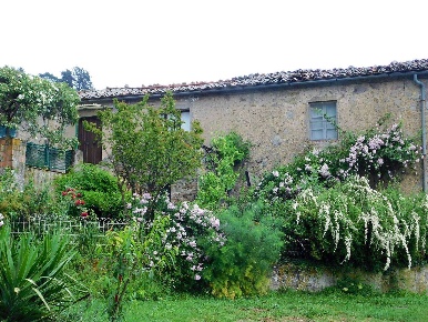 Foto Rustico a Roccastrada di 150 m² con 7 locali in vendita