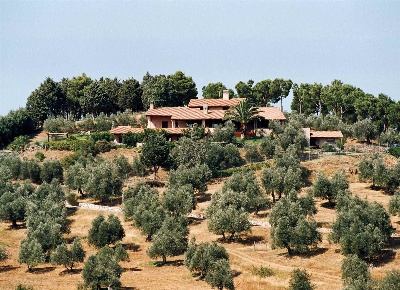 Foto Rustico a Castiglione della Pescaia Castiglione Paese di 450 m²