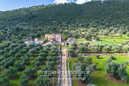 Foto Rustico in SC Matarano, Fasano Fasano Paese di 1000 m² con 25 locali