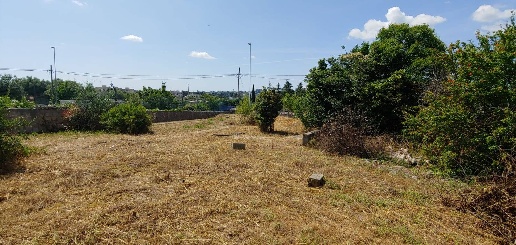 immagine annuncio 2 di 8