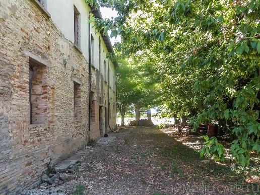 immagine annuncio 3 di 7