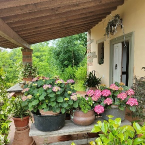 Foto Rustico a Reggello di 165 m² con 6 locali in vendita