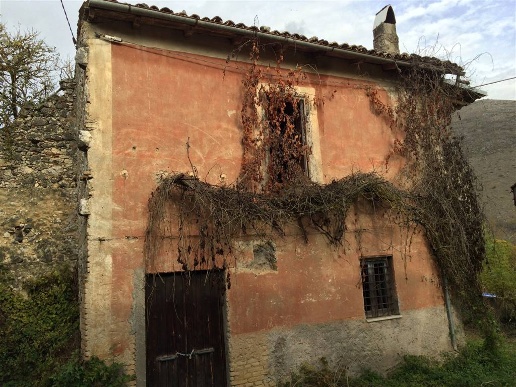 immagine annuncio 2 di 9