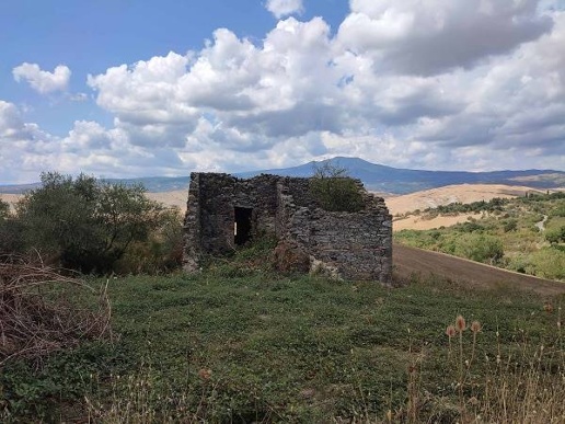 immagine annuncio 1 di 9