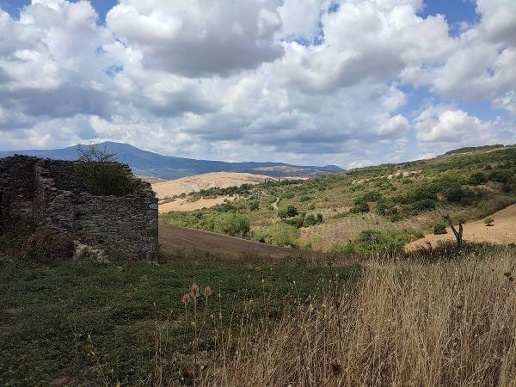 immagine annuncio 4 di 9