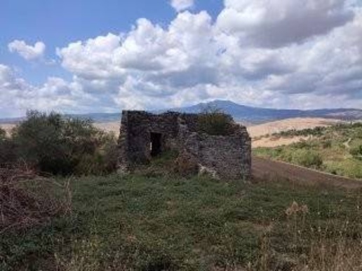 immagine annuncio 6 di 9