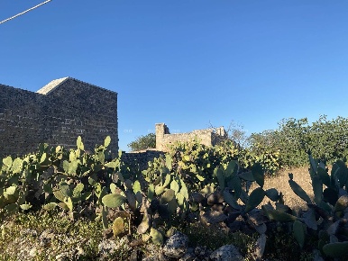 Foto Rustico in contrada Paradisi, Galatina Contrada Paradisi di 226 m²