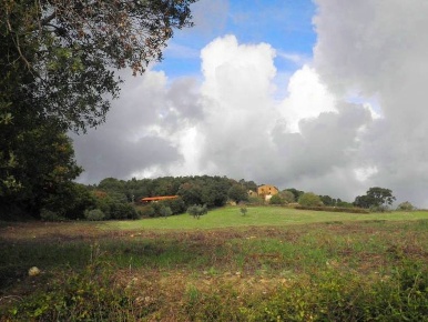 Foto Rustico a Riparbella di 1850 m² con 30 locali in vendita