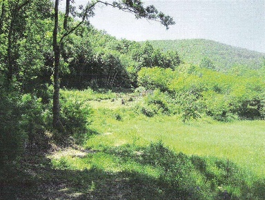 Foto Rustico a Montecatini Val di Cecina di 75 m² con 3 locali in vendita