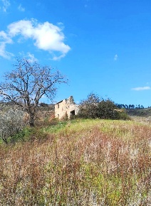 Foto Rustico in Strada delle Macie, Pomarance di 250 m² con 6 locali