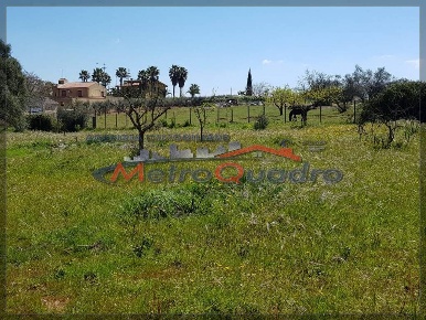 Foto Rustico a Canicattì di 6200 m² con 1 locali in vendita