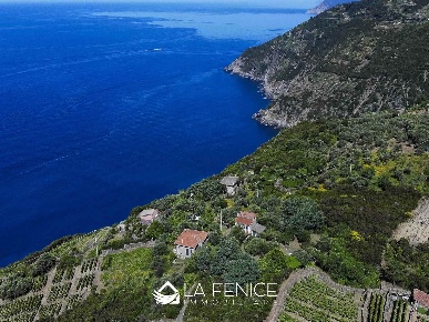 Foto Rustico in BORGO DEI CAMPI, Riomaggiore di 60 m² con 3 locali