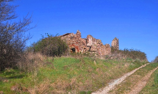 immagine annuncio 2 di 14