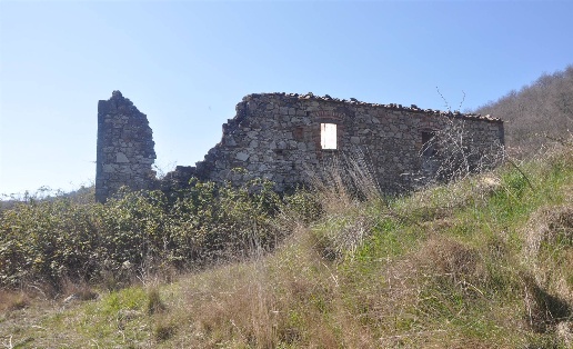immagine annuncio 9 di 14