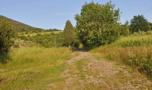 immagine annuncio 2 di 3