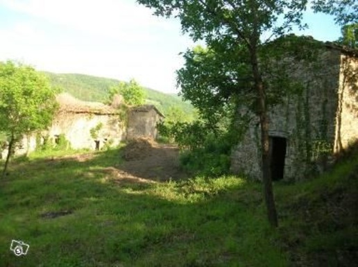 immagine annuncio 2 di 9