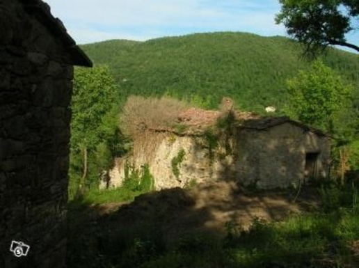 immagine annuncio 4 di 9