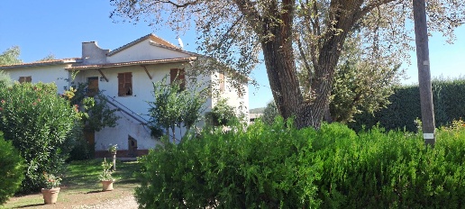 Foto Rustico in colle di lupo, Magliano in Toscana di 800 m² con 10 locali