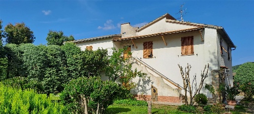 Foto Rustico in colle di lupo 100, Magliano in Toscana di 800 m² in vendita