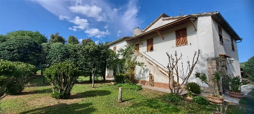 Foto Rustico in colle di lupo 100, Magliano in Toscana di 800 m² in vendita