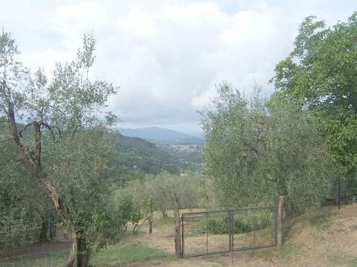 immagine annuncio 10 di 14