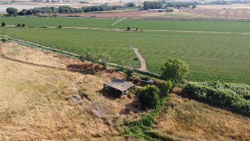 Foto Rustico in località farnesiana snc, Tarquinia Campagna di 90 m²