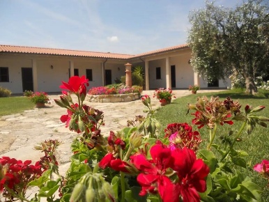 Foto Rustico a Magliano in Toscana Centro di 6160 m² con 15 locali