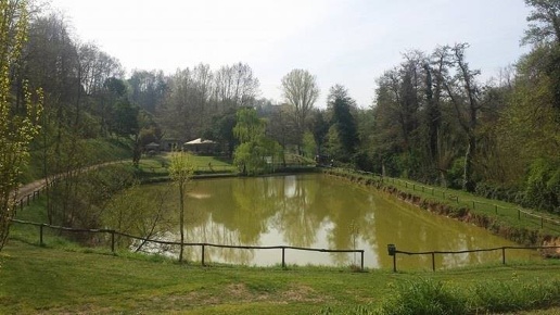 immagine annuncio 1 di 13