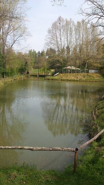 immagine annuncio 11 di 13