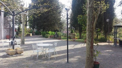 immagine annuncio 12 di 13