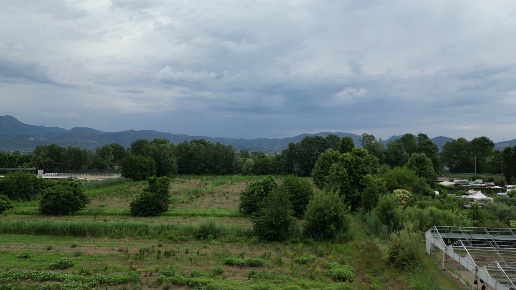 immagine annuncio 2 di 14