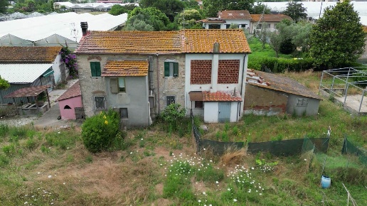 immagine annuncio 7 di 14