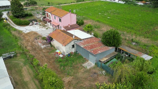 immagine annuncio 9 di 14