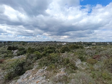 Foto Baita a Ostuni Campanile, Fumarola, Cavalleriza di 35 m² con 1 locali