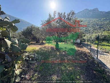 Foto Rustico a Cinisi di 40 m² con 2 locali in vendita
