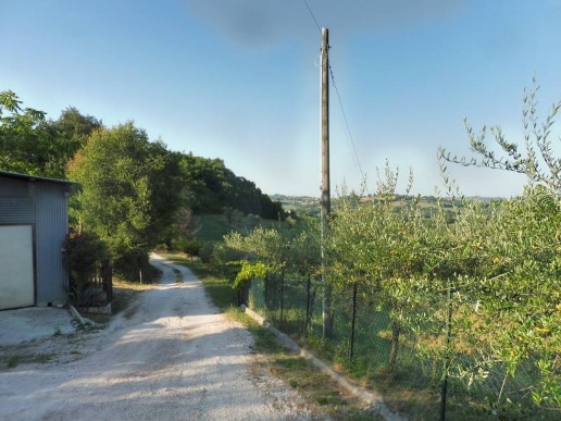 immagine annuncio 9 di 12