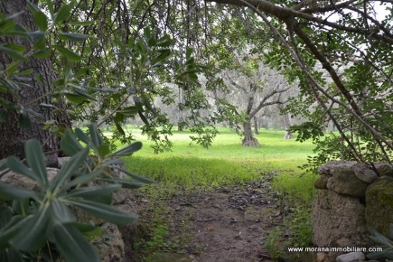 Foto Rustico a Melilli Centro di 145 m² con 4 locali in vendita