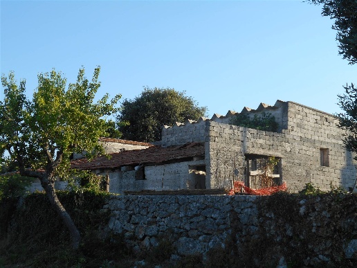 immagine annuncio 4 di 6
