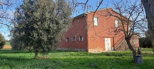 Foto Rustico in strada san donato 100, Orbetello di 358 m² con 8 locali
