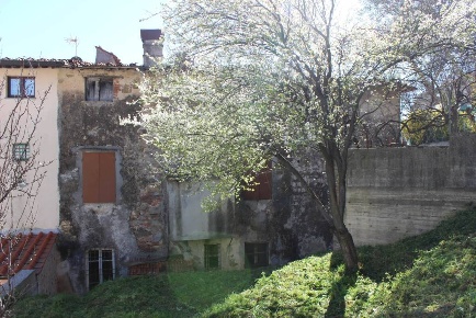 Foto Rustico a Massarosa Bozzano, Quiesa di 250 m² con 10 locali in vendita